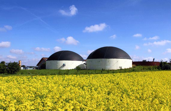 Biogasanlagen hinter Rapsfeld